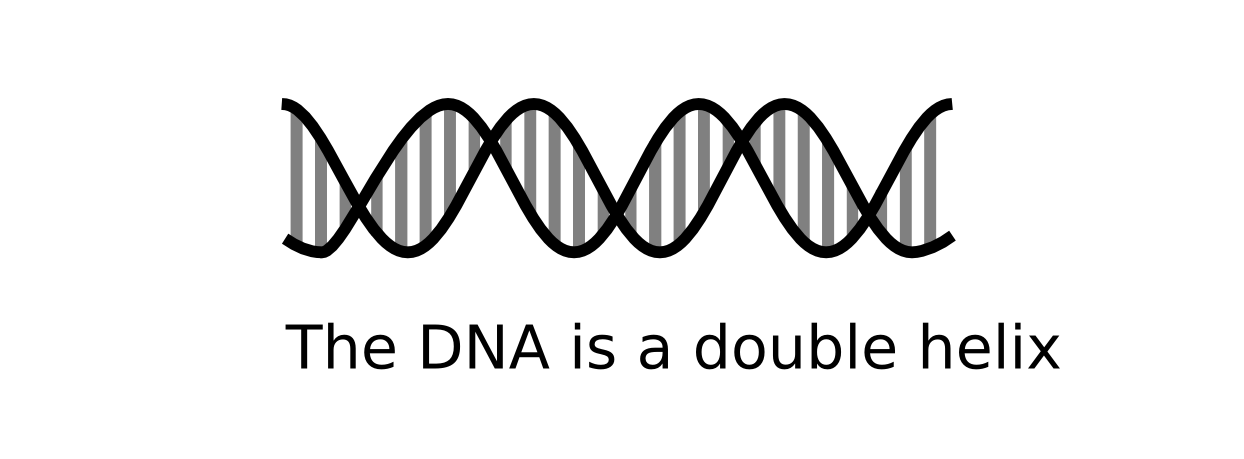 Doppelhelix